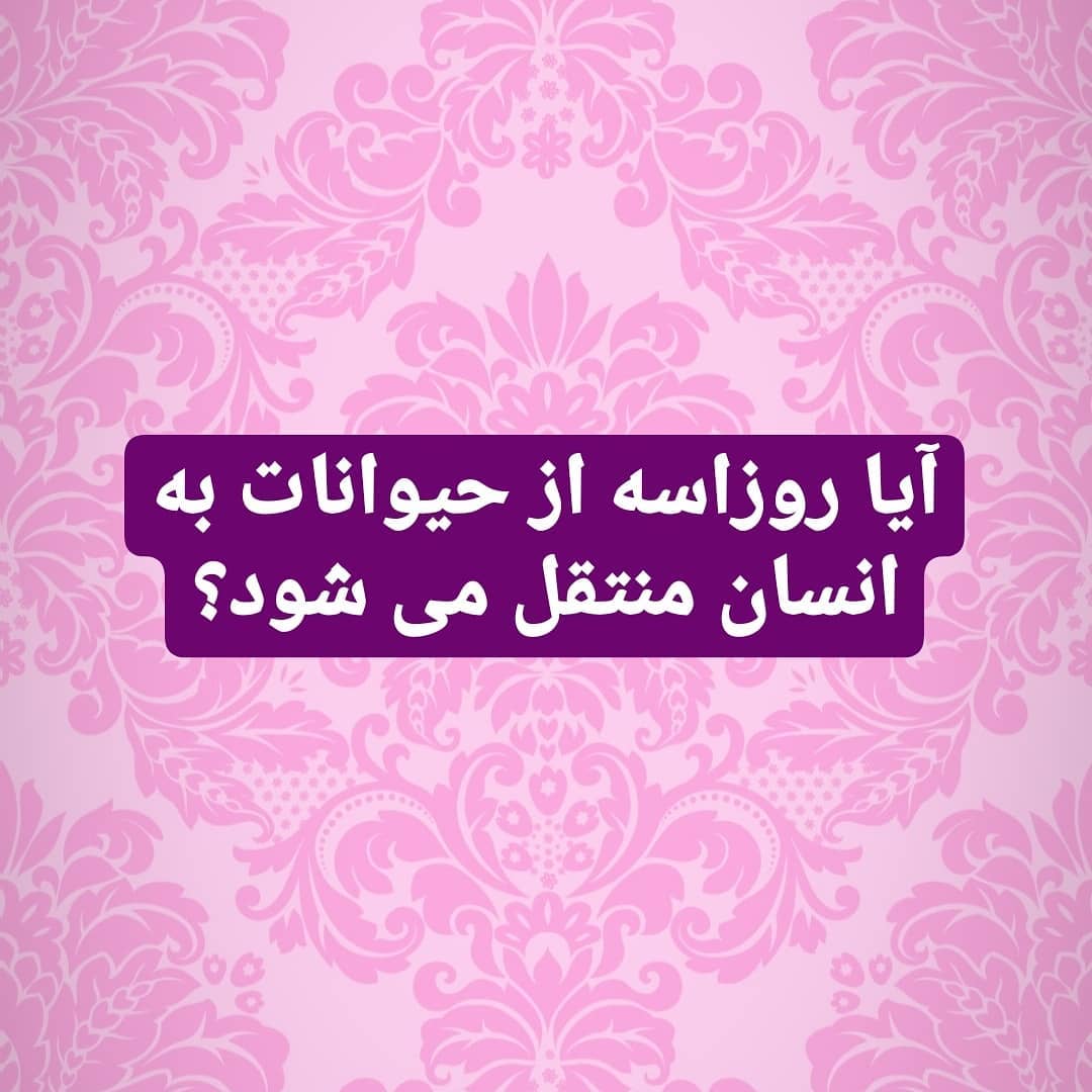 آیا روزاسه از حیوانات به انسان منتقل می شود؟
